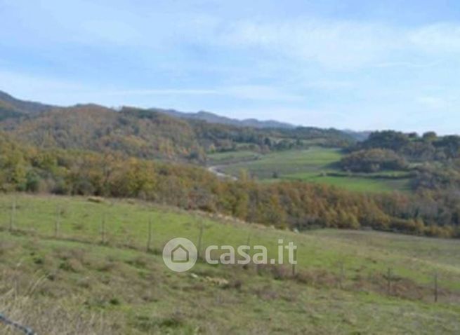Terreno agricolo in commerciale in Via di Cerliano