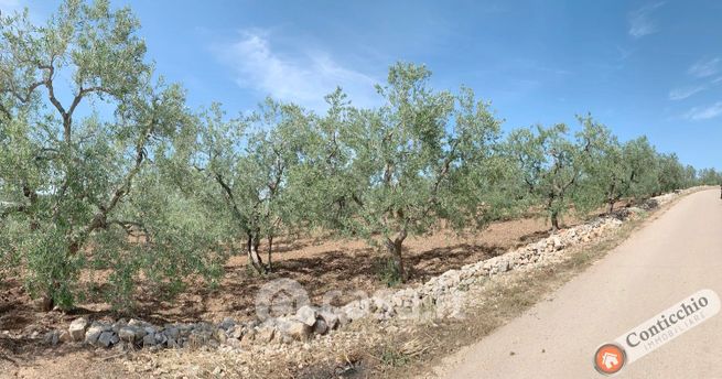 Terreno agricolo in commerciale in