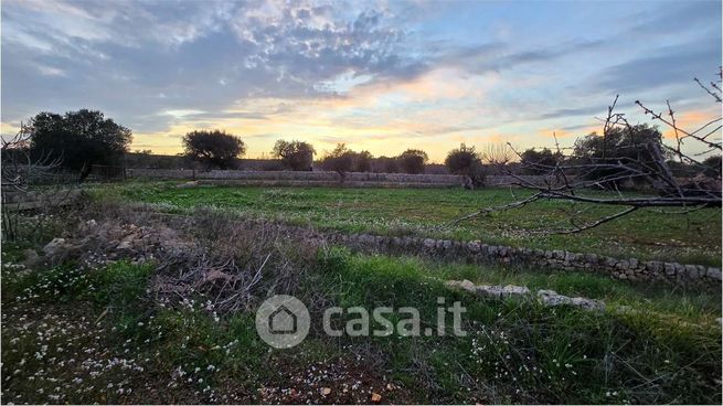 Terreno agricolo in commerciale in 