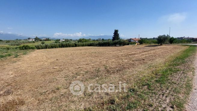 Terreno agricolo in commerciale in Via Leonilda PETRILLO
