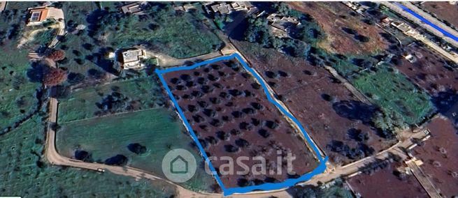 Terreno agricolo in commerciale in Strada Comunale Lamacerase