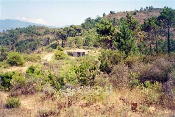 Terreno edificabile in residenziale in 