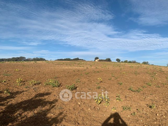 Terreno agricolo in commerciale in montalbano Jonico