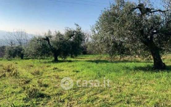 Terreno agricolo in commerciale in Strada Galilea