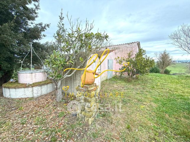 Terreno agricolo in commerciale in LocalitÃ  Paltratico