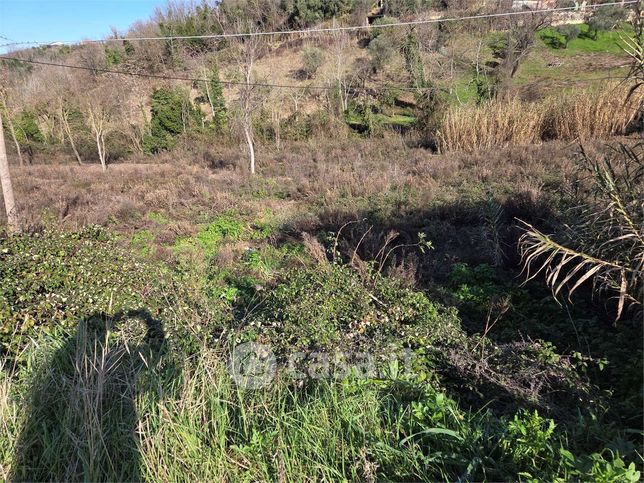 Terreno agricolo in commerciale in 