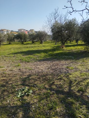 Terreno edificabile in residenziale in Pianacce