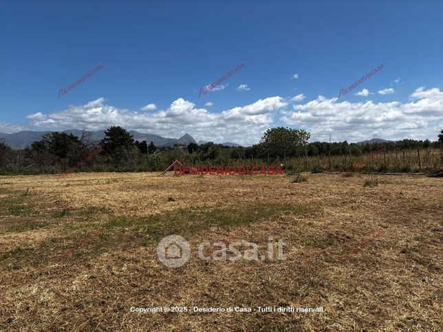 Terreno agricolo in commerciale in SP63