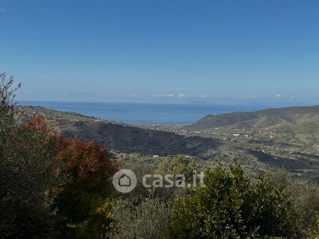 Terreno agricolo in commerciale in vatolla