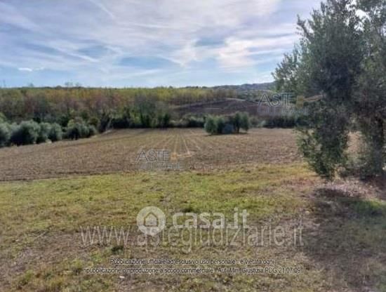 Terreno agricolo in commerciale in Viale Sardegna 31