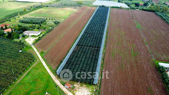 Terreno agricolo in commerciale in Via Le Pastine 74