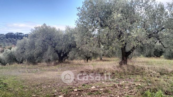 Terreno agricolo in commerciale in Via Sacrofano-Cassia