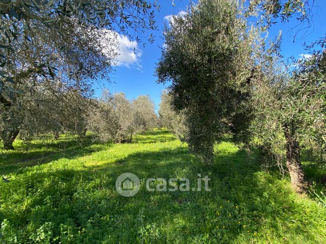 Terreno agricolo in commerciale in Via di Tarquinia