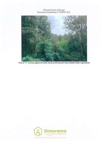 Terreno agricolo in commerciale in Località Cibottola