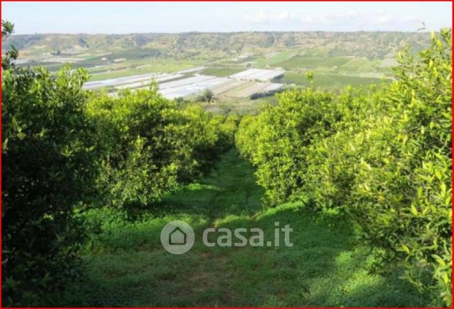 Terreno edificabile in residenziale in Strada Provinciale 1