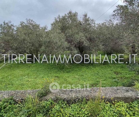 Terreno agricolo in commerciale in Contrada Musarra 38
