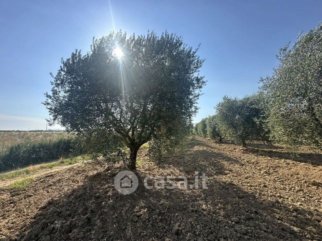 Terreno agricolo in commerciale in 