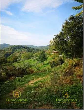 Terreno agricolo in commerciale in Via Giotto