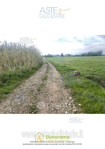 Terreno agricolo in commerciale in LocalitÃ  Vignale