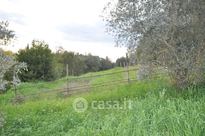 Terreno agricolo in commerciale in Via Riboia 25