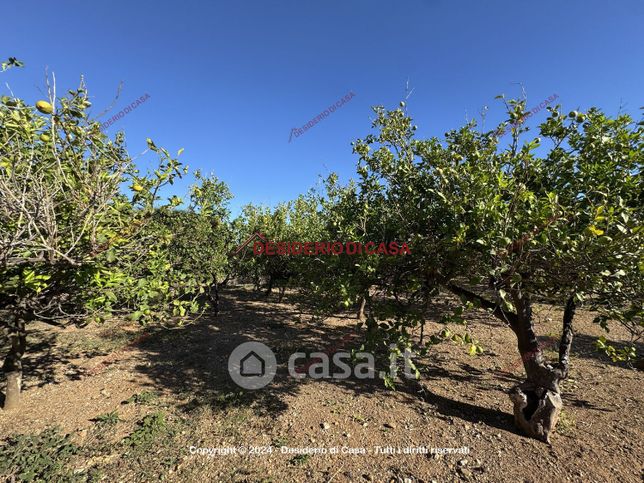 Terreno agricolo in commerciale in Via del Fonditore