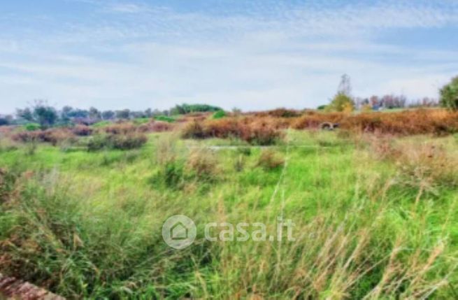 Terreno agricolo in commerciale in Via Luigi Albertini