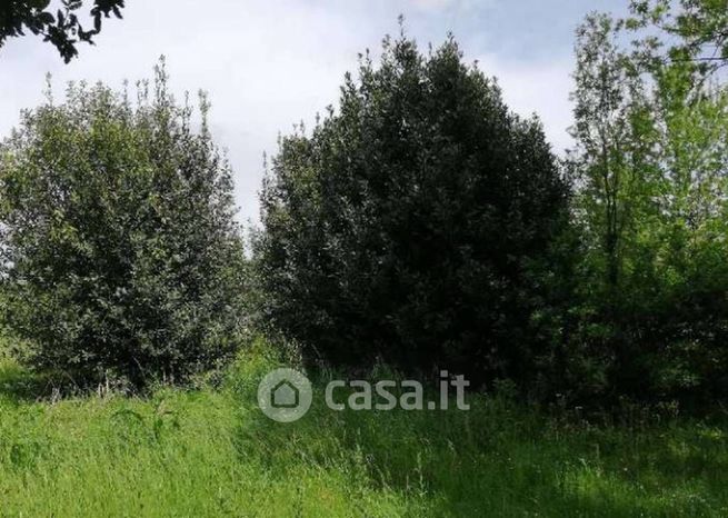 Terreno agricolo in commerciale in Strada Terraglio