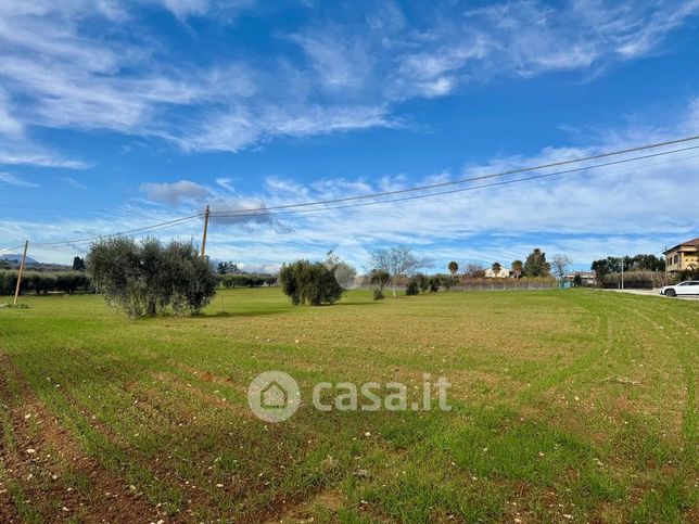 Terreno agricolo in commerciale in Traversa Mari