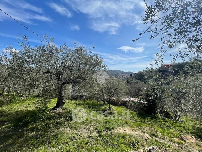 Terreno agricolo in commerciale in Strada Fontana Natta