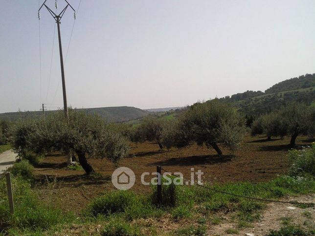 Terreno agricolo in commerciale in Via Collegiata