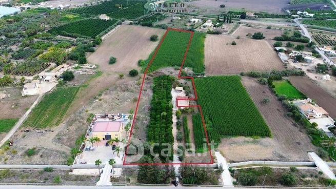 Terreno agricolo in commerciale in Santa Maria del Focallo