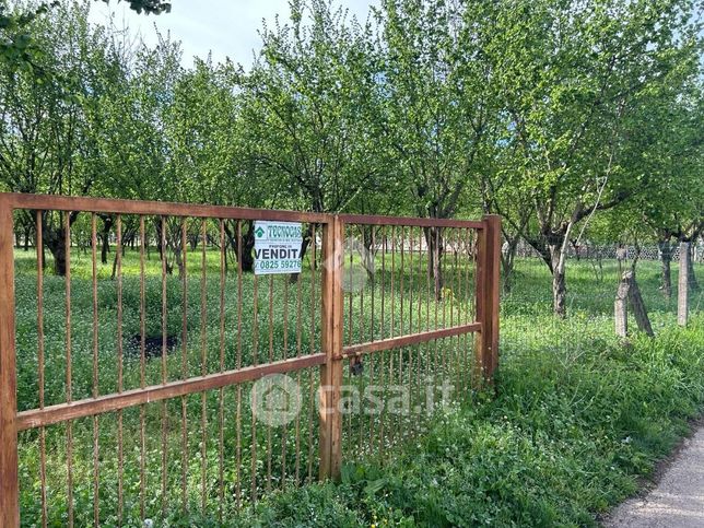 Terreno agricolo in commerciale in Via Capolungo