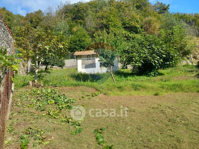 Terreno agricolo in commerciale in Strada Provinciale 38