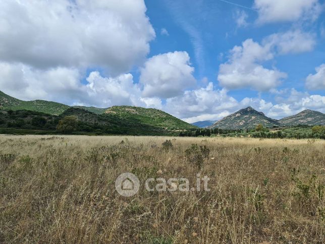 Terreno agricolo in commerciale in 