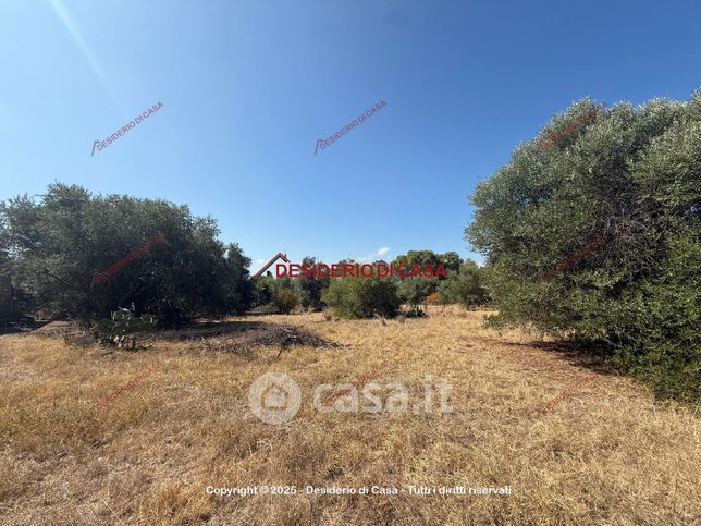 Terreno agricolo in commerciale in SP 1 66