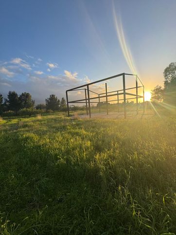 Terreno agricolo in commerciale in Via olivarella