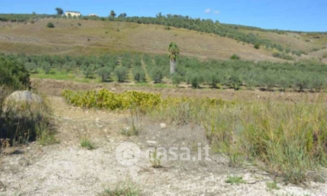 Terreno edificabile in residenziale in Strada Provinciale 50