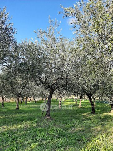 Terreno agricolo in commerciale in Via Macerone