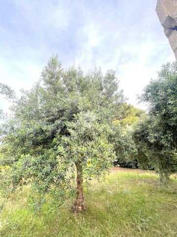 Terreno edificabile in residenziale in Via Tre Pini 8