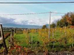 Terreno agricolo in commerciale in Via Costa