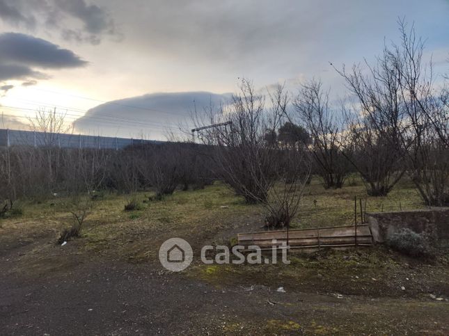 Terreno agricolo in commerciale in Via Tavernanova