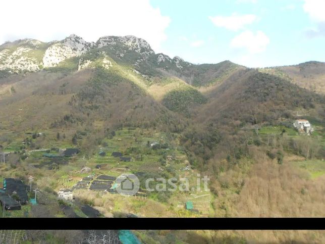 Terreno agricolo in commerciale in Piazza sambuco