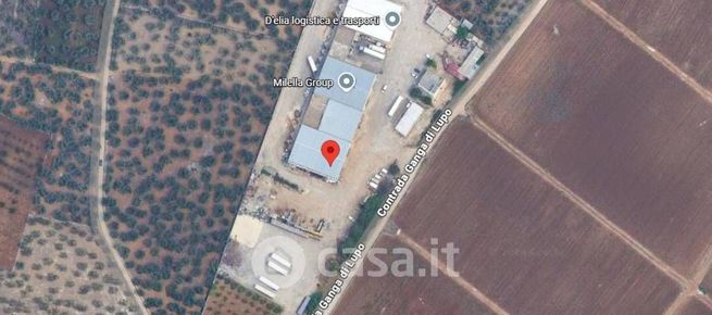 Capannone in commerciale in 