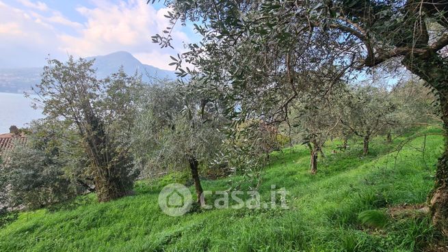 Terreno agricolo in commerciale in 