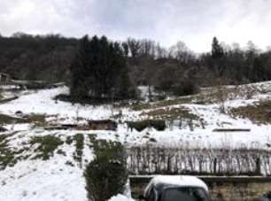 Terreno agricolo in commerciale in Via Baiedo