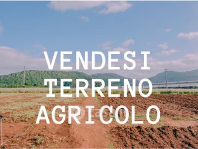 Terreno agricolo in commerciale in 