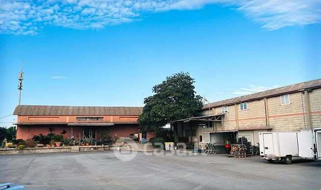 Capannone in commerciale in Strada Statale 1 88