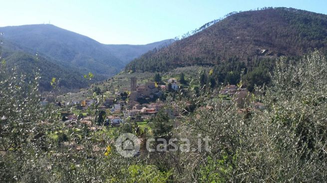 Terreno agricolo in commerciale in Via di Sant'Andrea