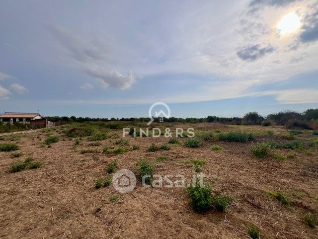 Terreno agricolo in commerciale in Contrada Parrinelli