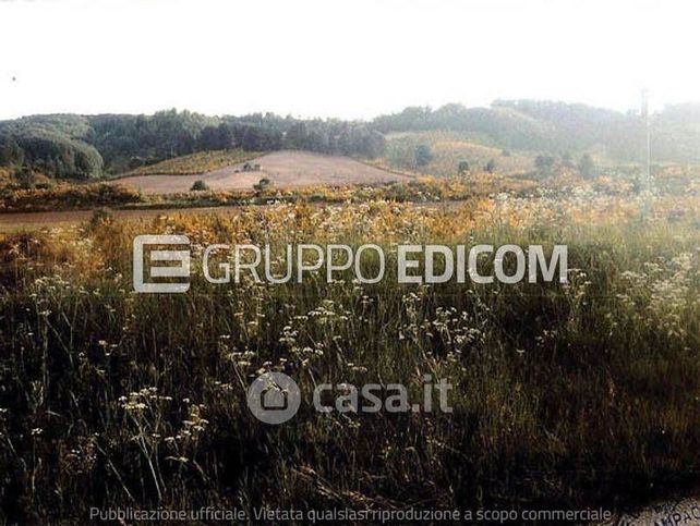 Terreno edificabile in residenziale in Strada Provinciale 217